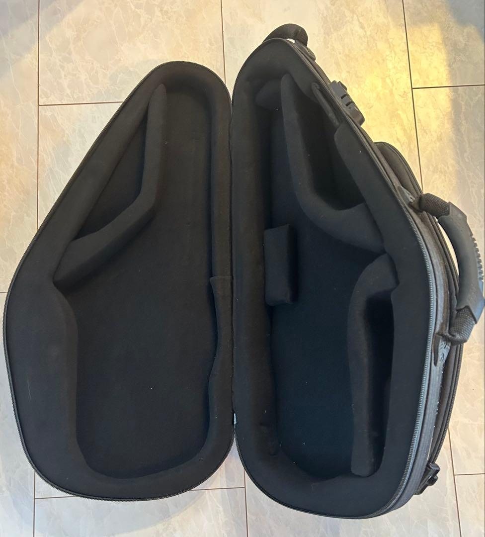 bags EFAS F-BLK ハードケース/アルトサックス用 バッグス