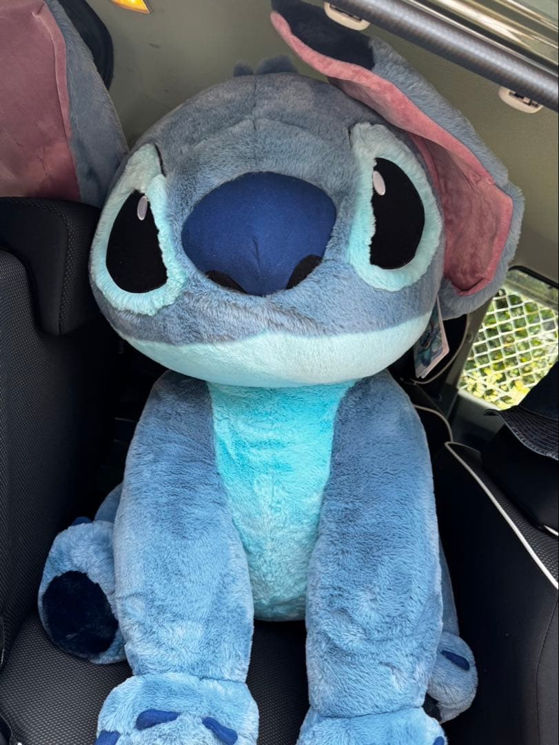 A*3様 【美品】ボリスベアー M セキグチ ぬいぐるみ 人形 希少 レア