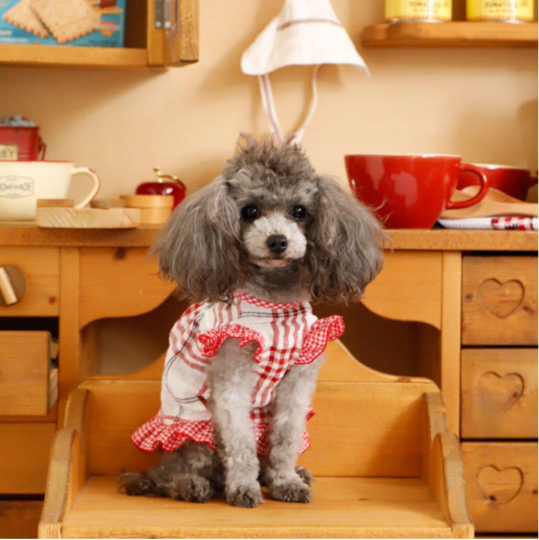 Atelier G.Gアトリエジジ カントリーキッチン レッド16