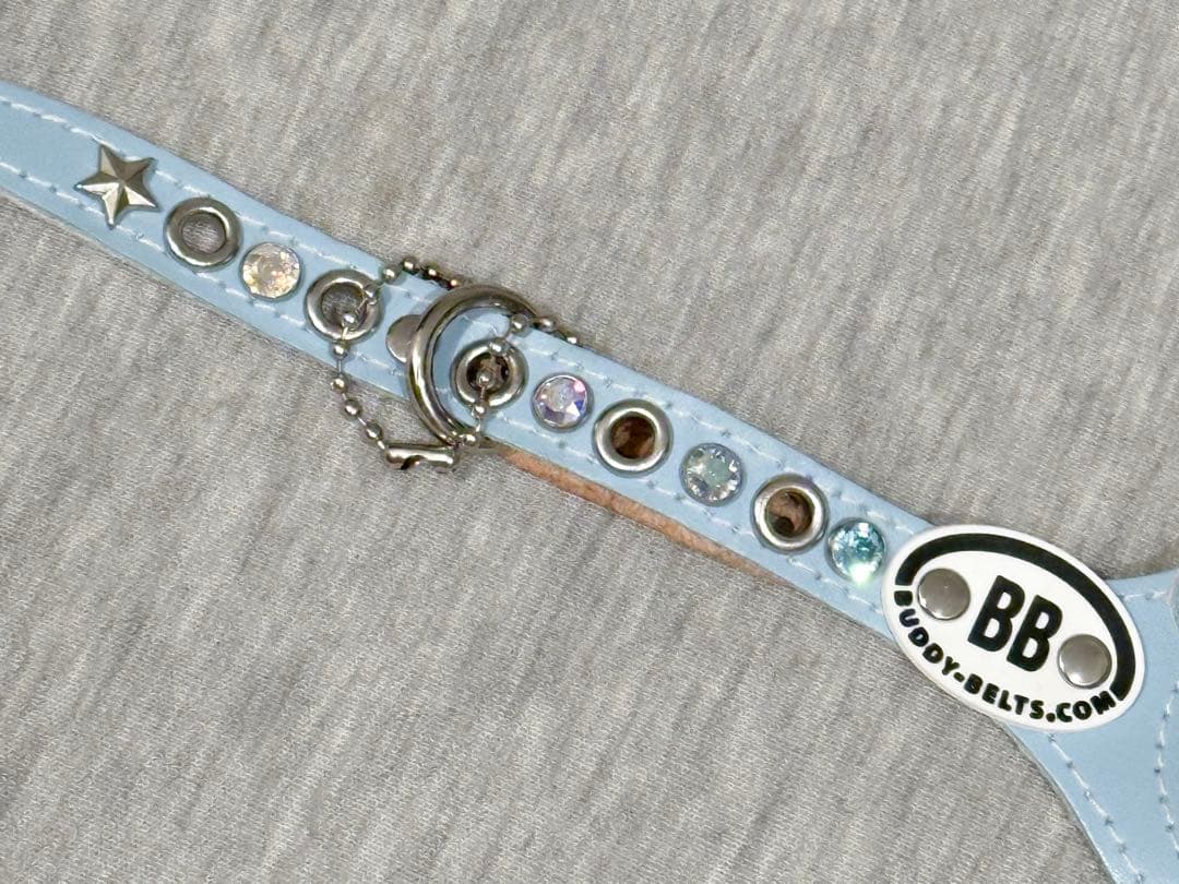 希少Buddybelts バディーベルト ベビーブルー babyblue 2.5｜2.5号