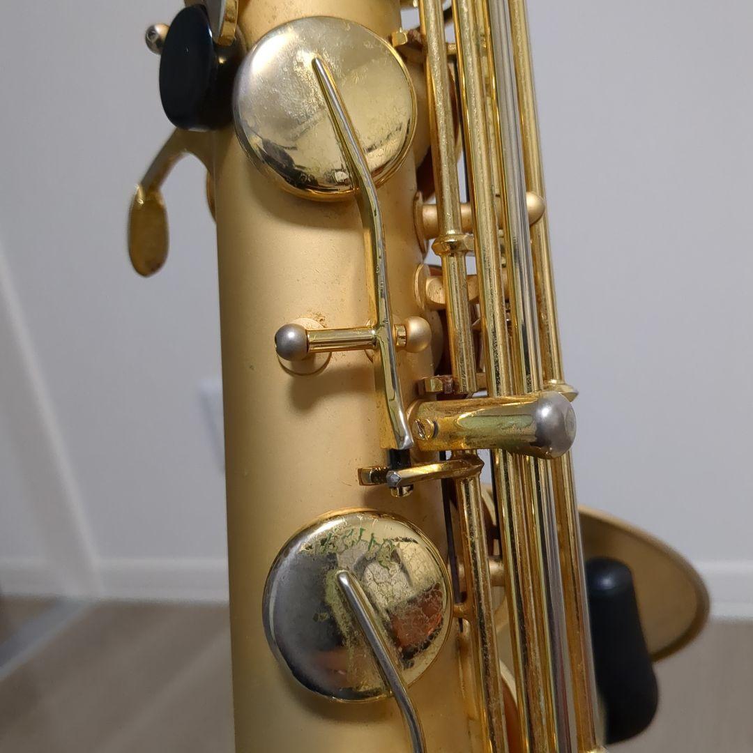 borgani pearl gold ボガーニ テナーサックス