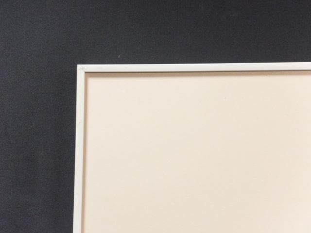 前田常作 直筆サイン『朝顔の図』リトグラフ 2006年 0611O - メルカリ