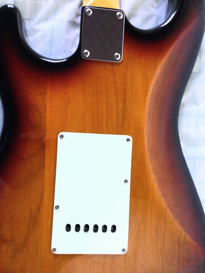 ESP GrassRoots/グラスルーツ