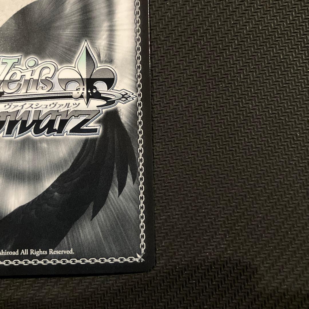 最安値 ヴァイス ブルーアーカイブ 阿慈谷ヒフミ（水着）sp サイン