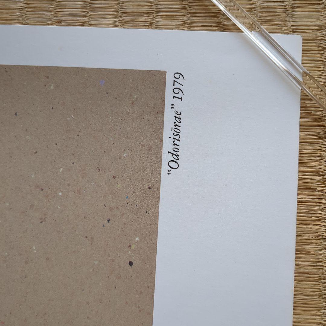 Z-13-2) 【CAMOY展 ポスター 1991年 大阪市立美術館】