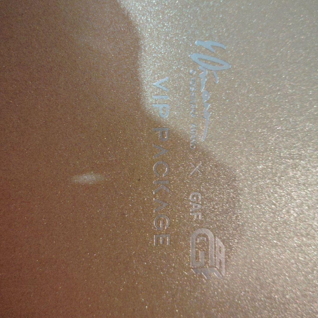 数量限定】天野喜孝x GAF2025 VIPチケット有料特典ボックス