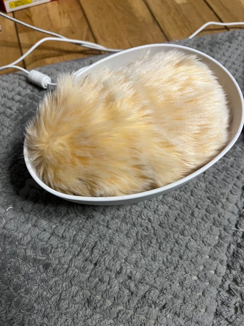 Moflin モフリン ゴールド (保証書付き)