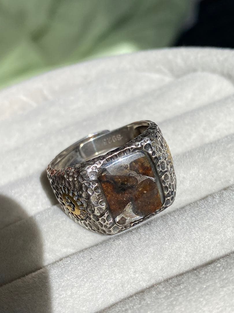 希少 宇宙パワー パラサイト隕石 セリコ隕石 石鉄隕石 高品質隕石 幸運