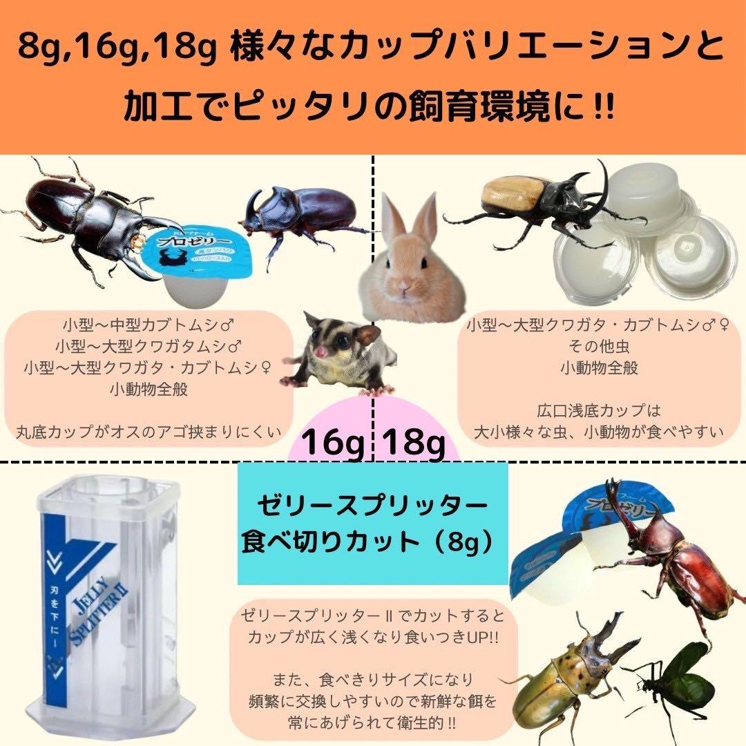 国産プロゼリー1500個KBファームカブトムシ クワガタinsect jelly