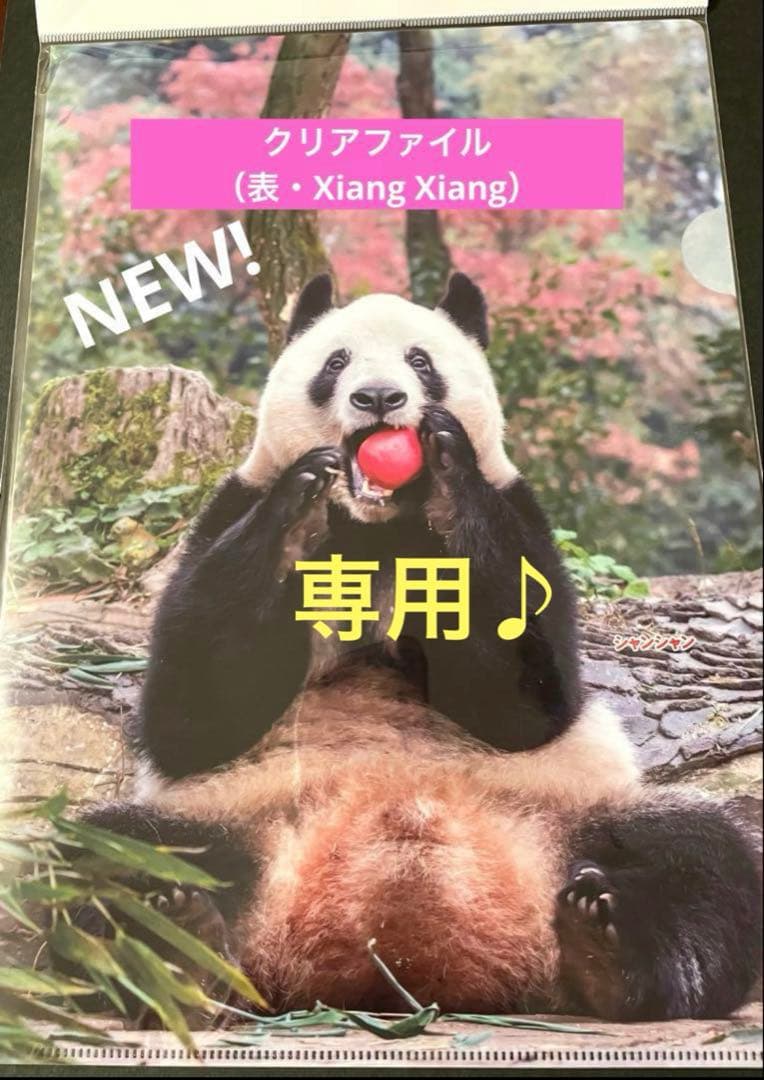 専用　シャンシャン 71000.webp