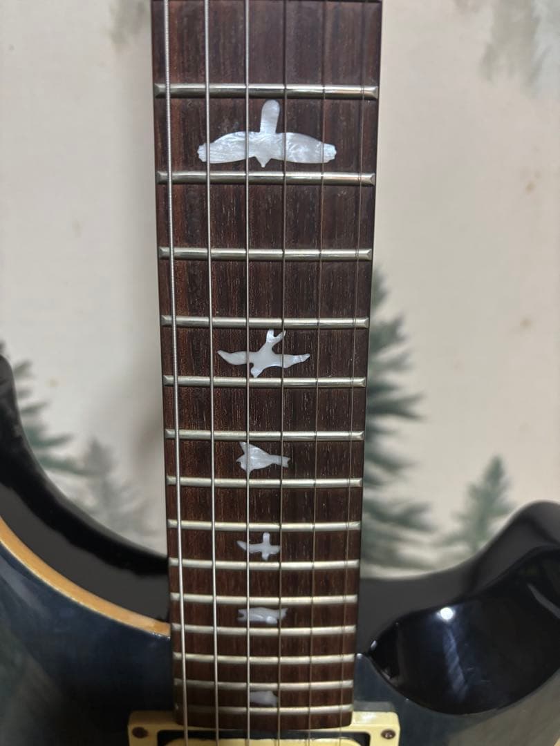 ギター PRS SE Custom24 Whale Blue