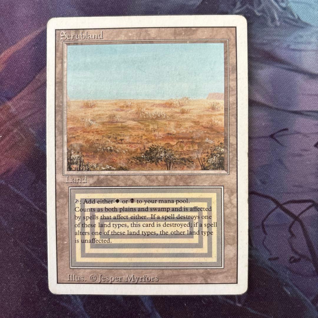 MTG】Scrubland 英語1枚