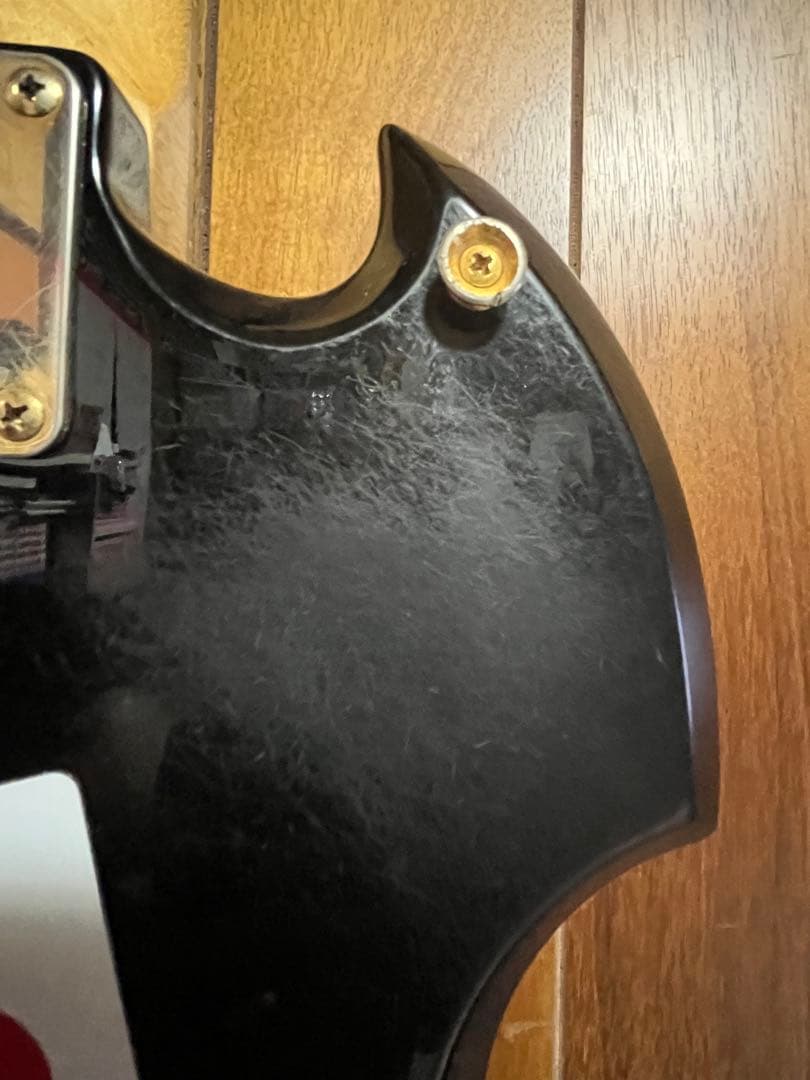 最終値下げ売り切りhideペイント風モッキンバード