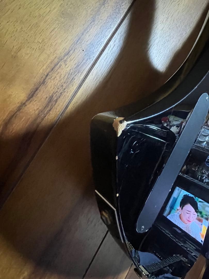 最終値下げ売り切りhideペイント風モッキンバード