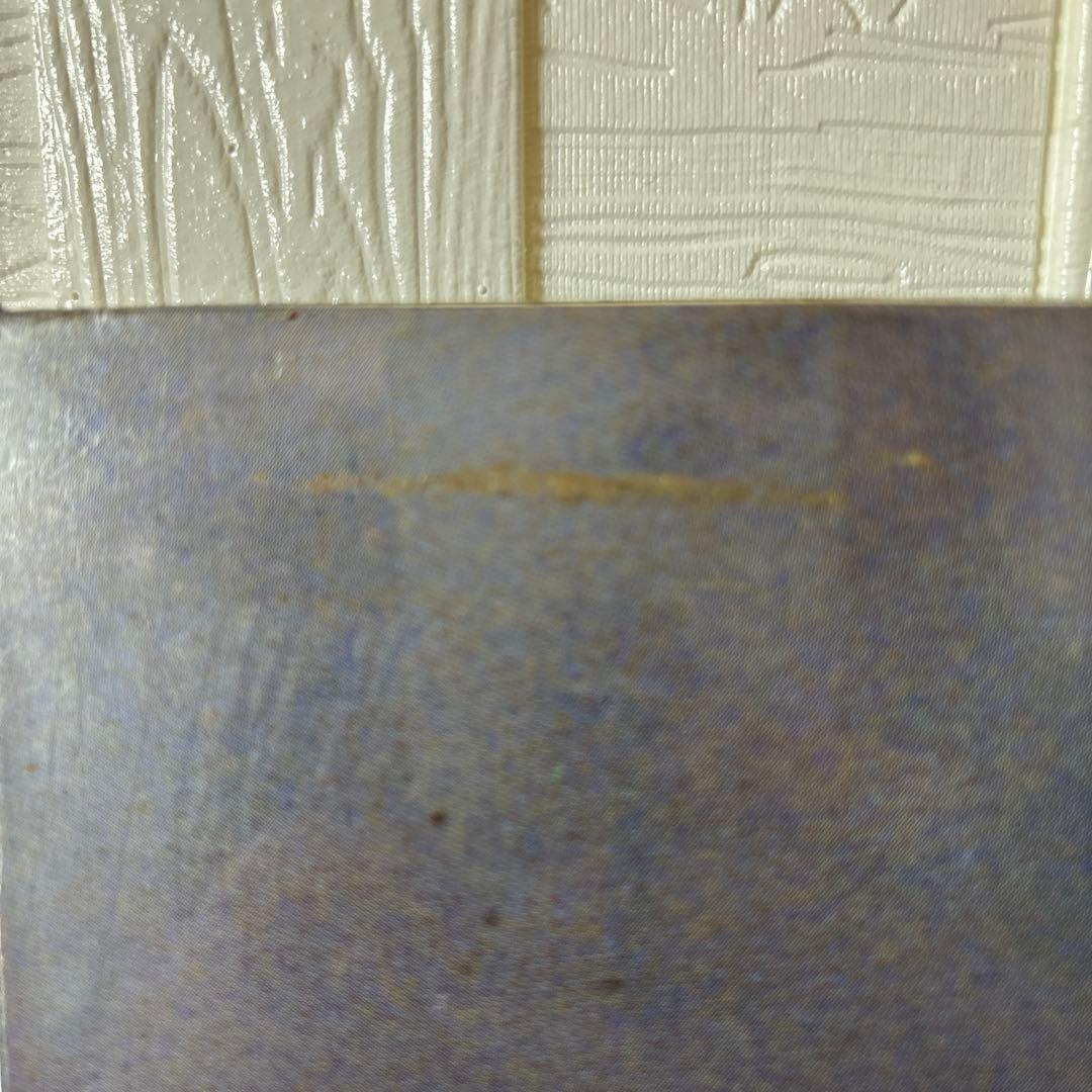 アイルトン.セナ ビッグパネル1960-1994 - メルカリ