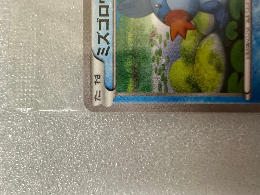 ミズゴロウ、コンビニ購入キャンペーン 未開封プロモ