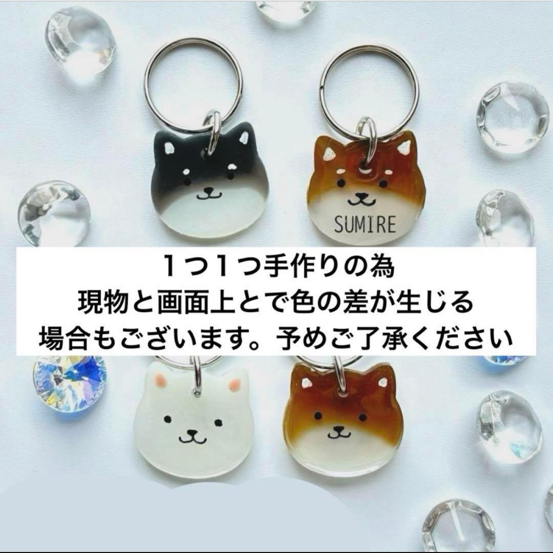 オーダー注文《 数量限定》柴犬種類選択 》迷子札　犬　名札