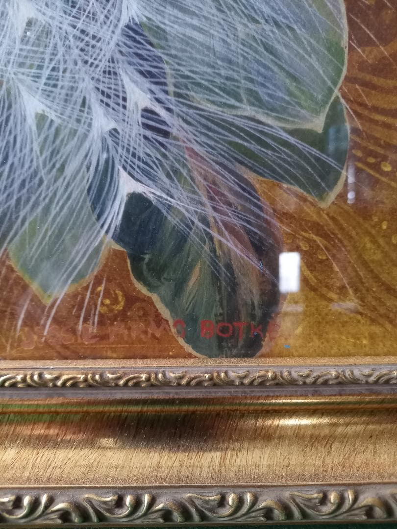 白孔雀 黄花 クジャク アートポスター 額付き フレーム付 アメリカ