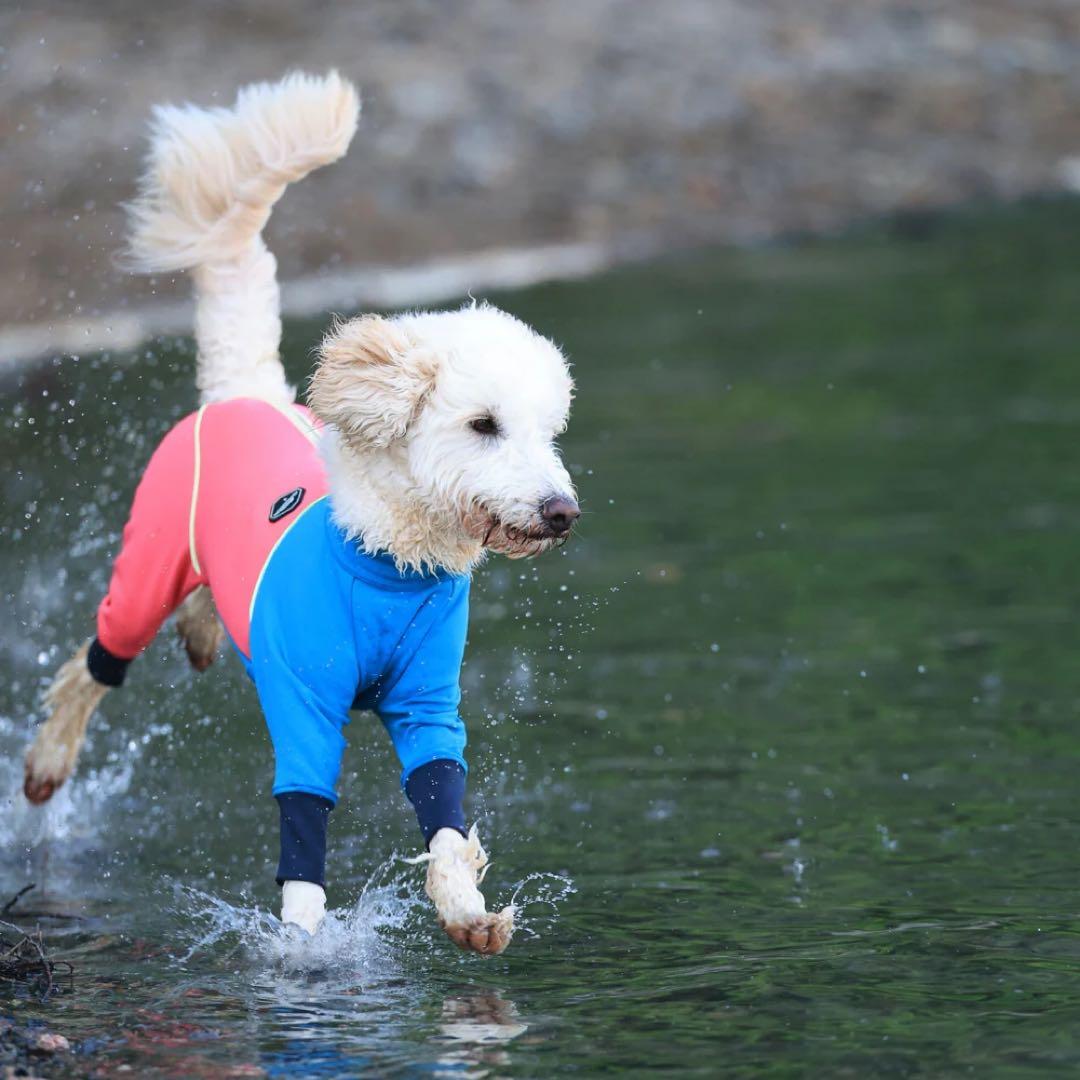 ALPHAICON SNOW DOG GUARD RETRO SKI 犬服・アクセサリー 2025