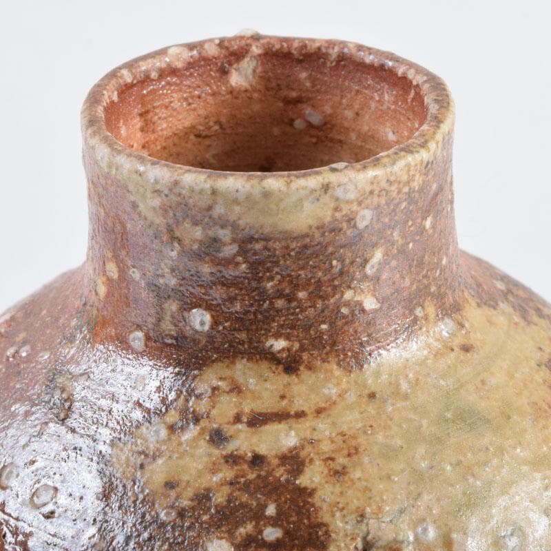 茶道具 信楽焼 上田寿方作 茶入 仕覆付 共箱 V 8952 - メルカリ