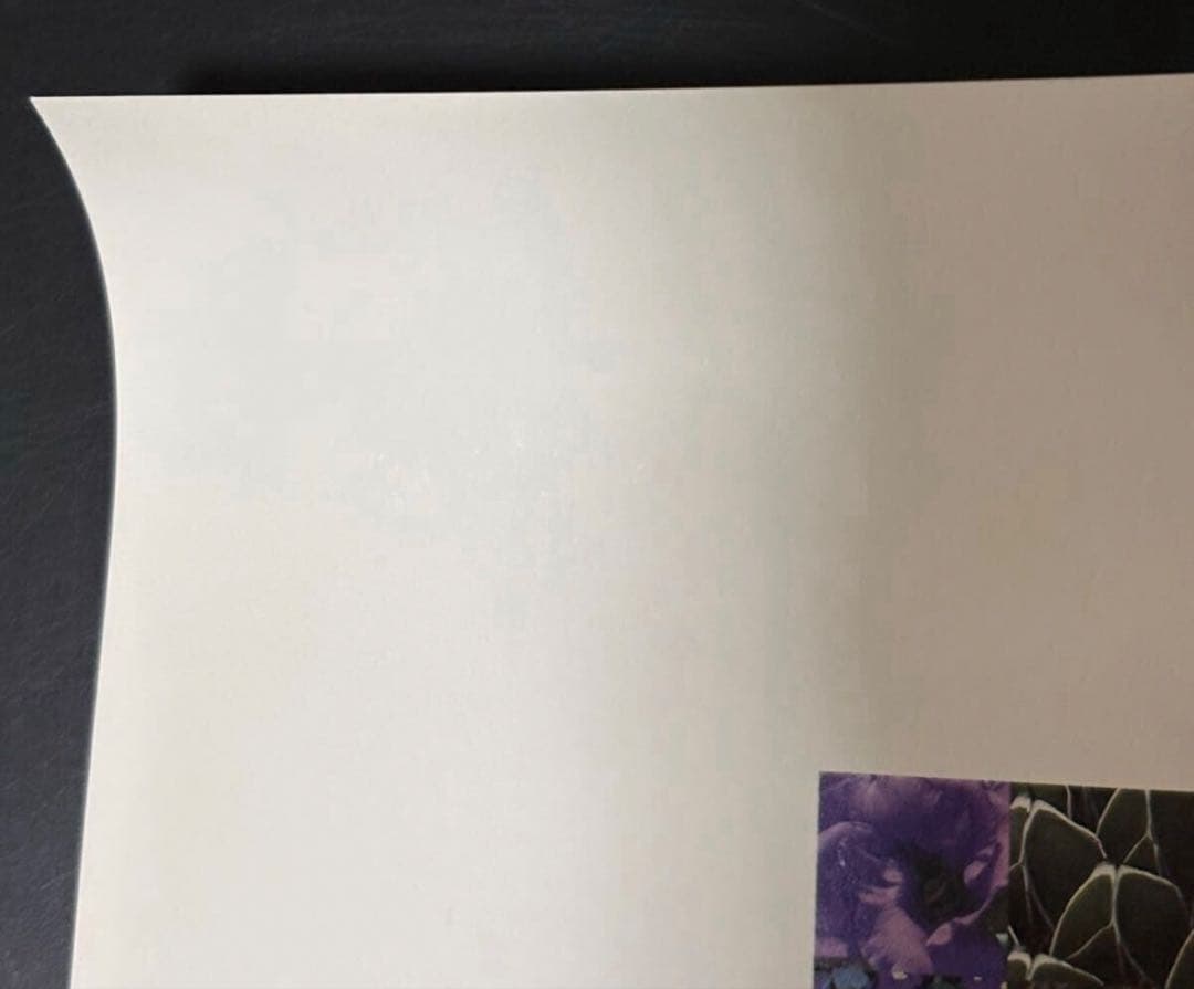 ダイアナ妃 Diana Princess of Wales イギリス王室