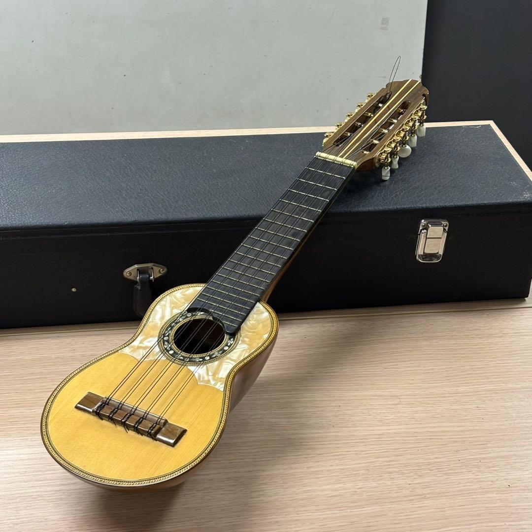 Acha アチャ チャランゴ ボリビア 弦楽器 ハードケース付き