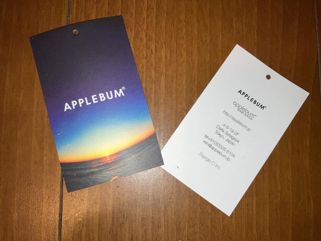 ★APPLEBUM / アップルバム ロッドマン RODMAN ポスター 額付