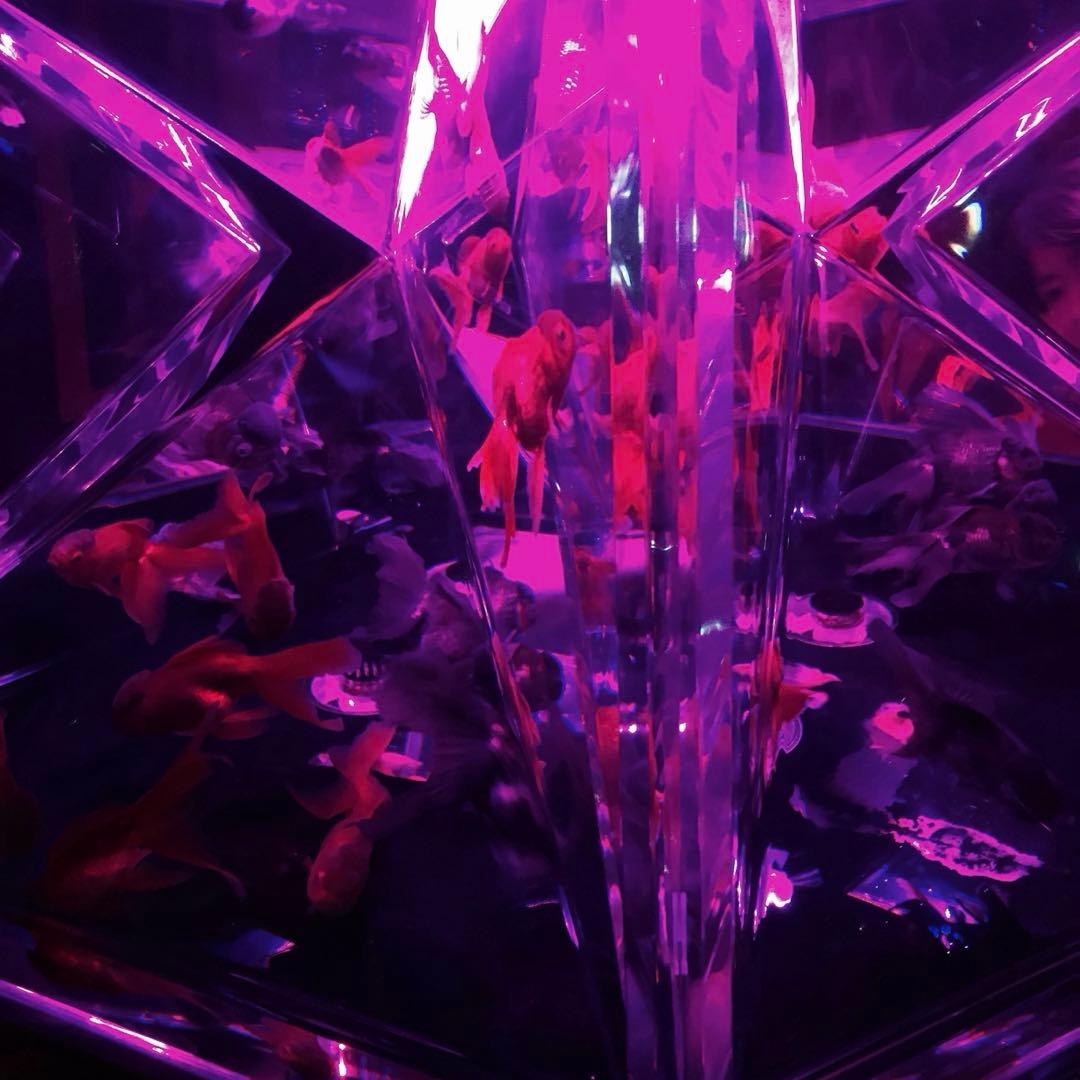 さーもす様 a♡様、専用 Sexyに変身したい夜もあるワ💋💕🌃 普段