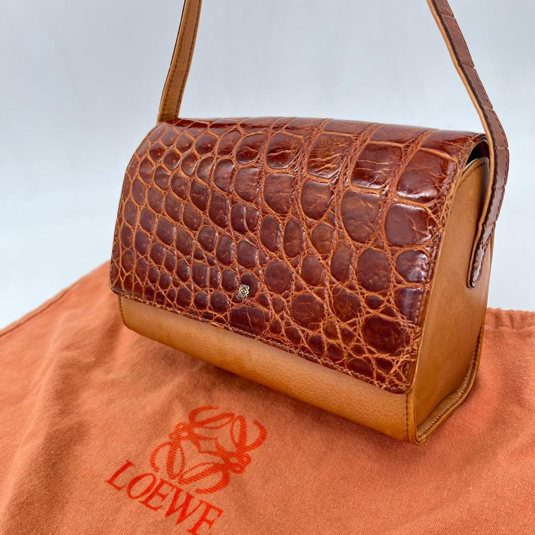 【希少品】LOEWE ショルダーバッグ 斜めがけ アナグラム シャイニングクロコ
