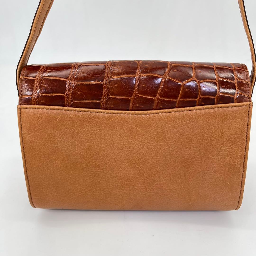 【希少品】LOEWE ショルダーバッグ 斜めがけ アナグラム シャイニングクロコ