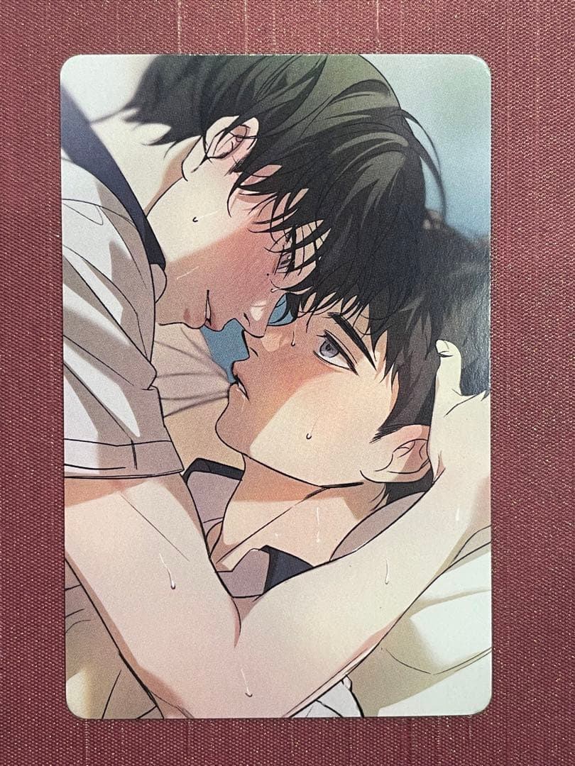 Backlight DAYBREAK日本限定トレカ 特典 韓国BL レジン Backlight DAYBREAK日本限定トレカ 特典 韓国BL レジン Backlight