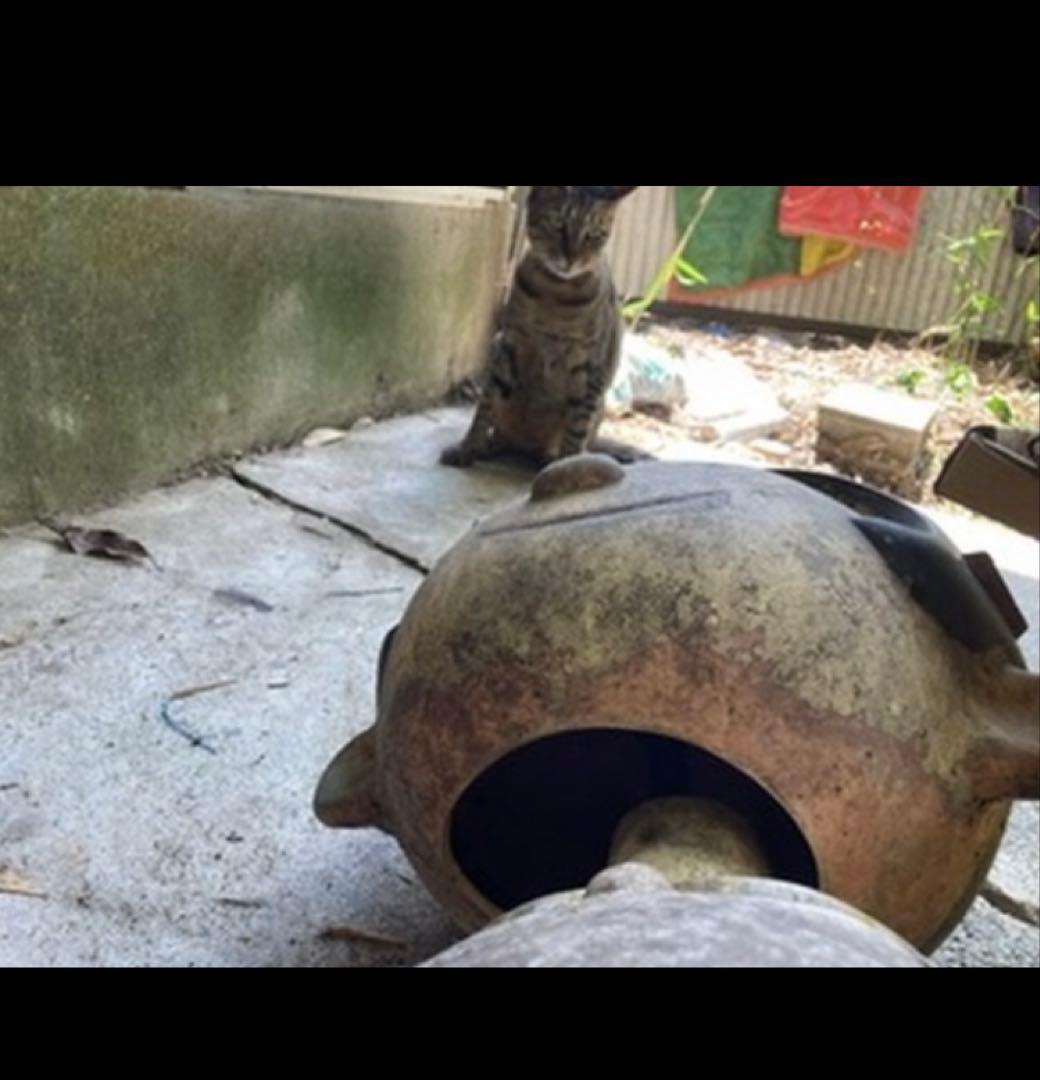 レトロ。メル子ちゃん。レア。