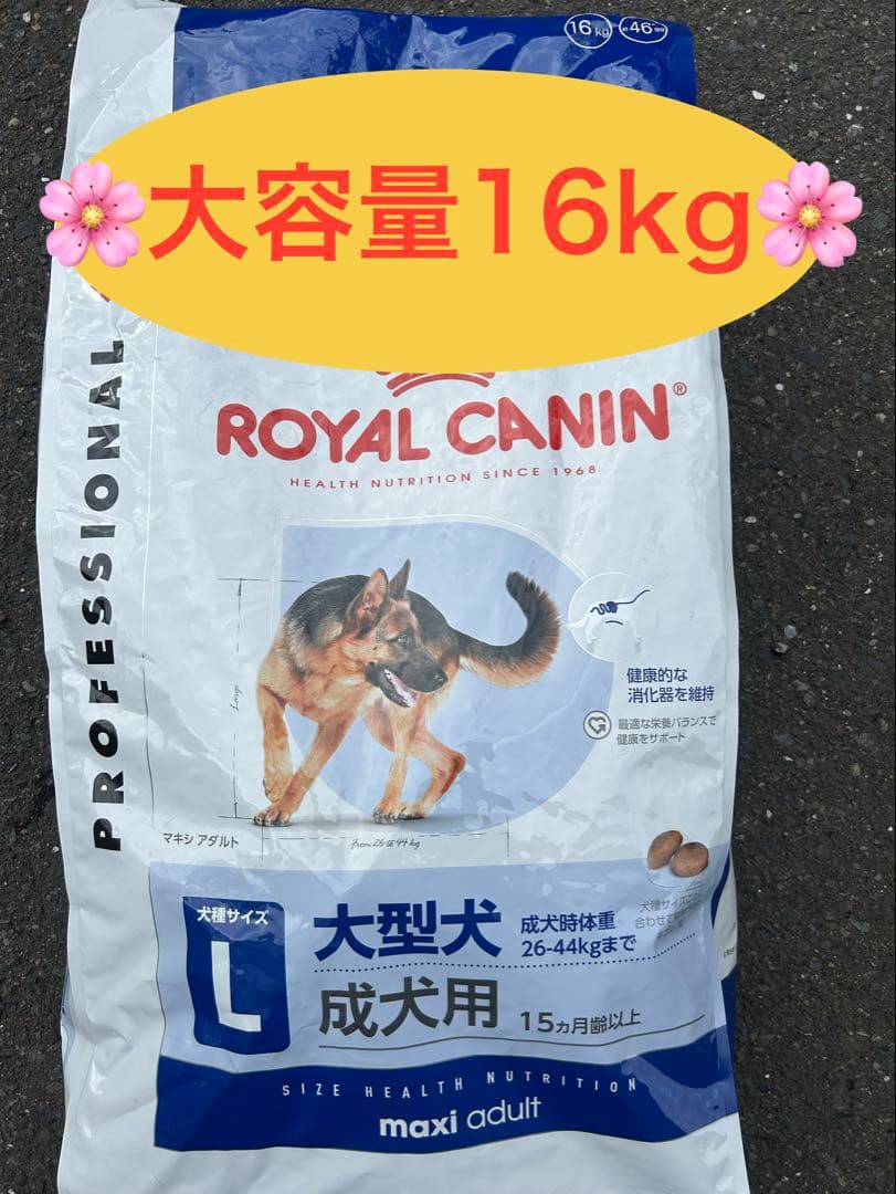 ロイヤルカナン マキシアダルト16kg - メルカリ