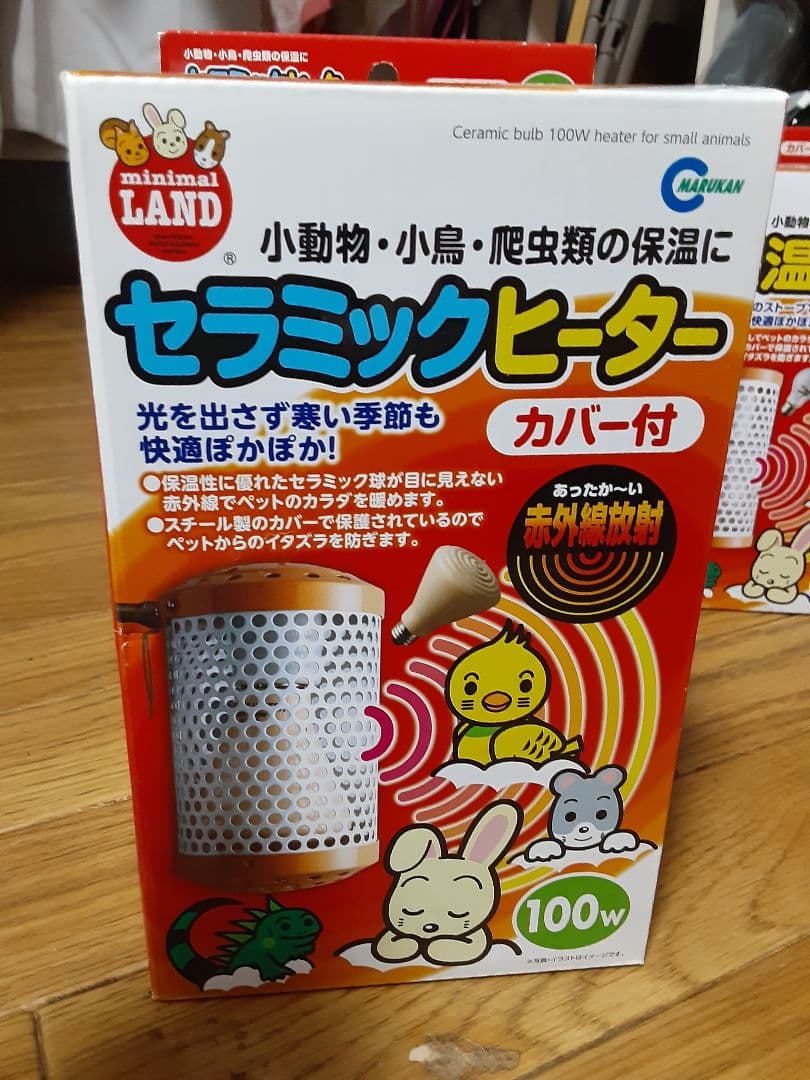 ハリネズミ飼育セット (神奈川付近であれば近くまでお届けも可能です