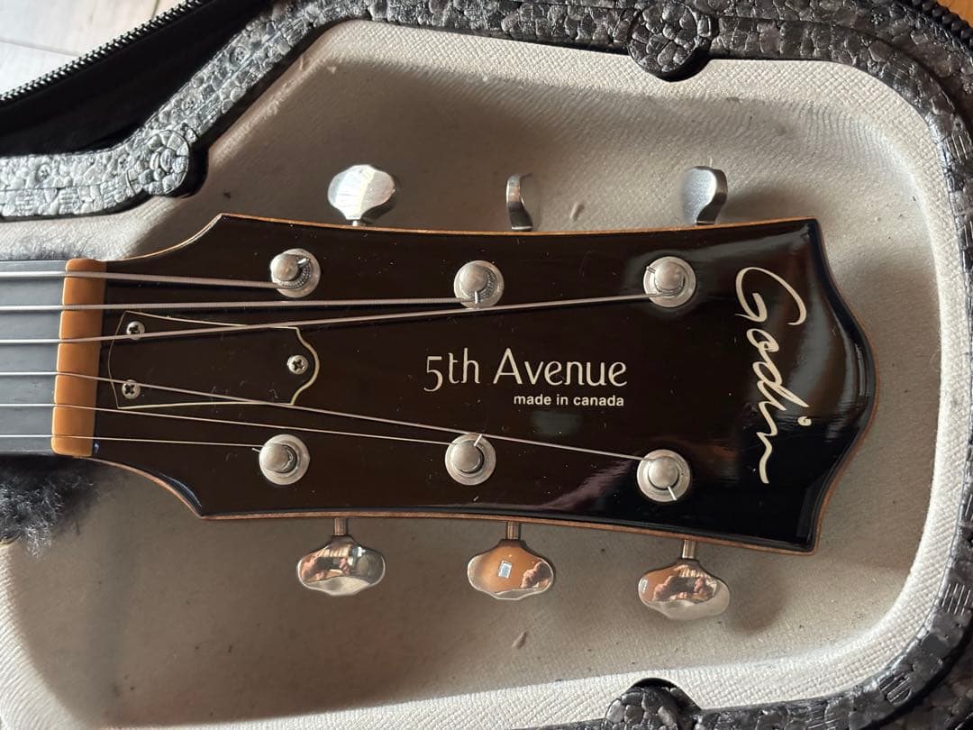 ゴダン Godin 5th Avenue Jazz 希少フルアコギター