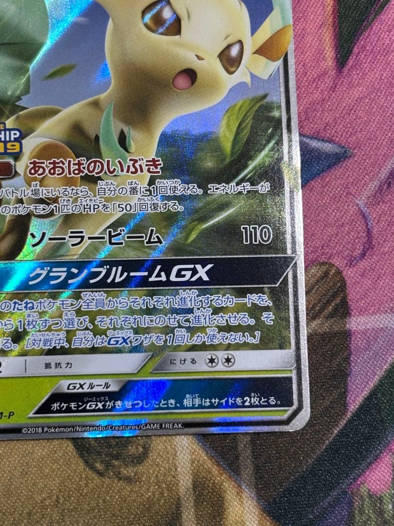 ポケモンカード　リーフィアgx プロモ　チャンピオンシップ2019