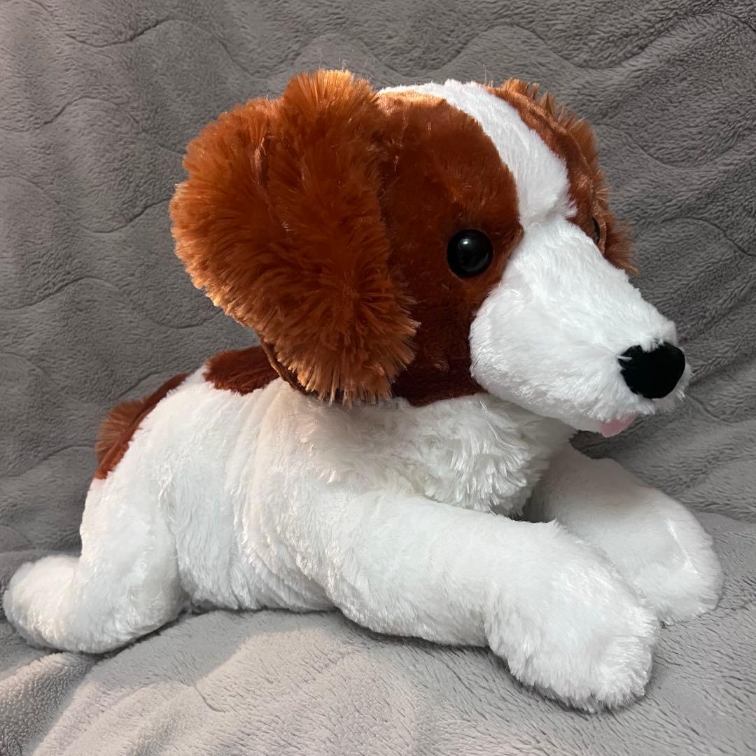 コーイケルホンディエのおでこちゃん デコピン ぬいぐるみ 新品 大谷