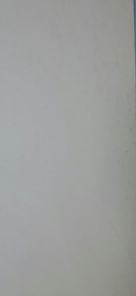 ビートたけし FICCE 特大ポスター