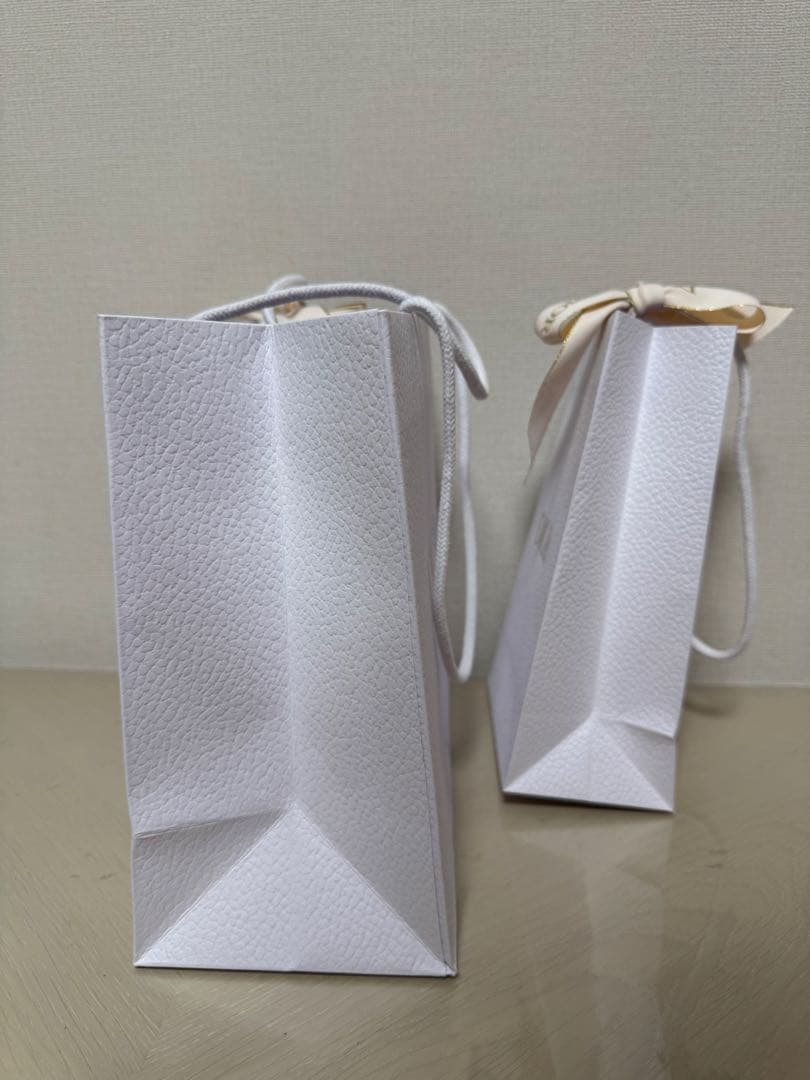 Dior ショッパー 最新 リボン付き 2点セット