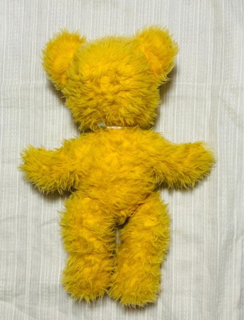 レア　ペディグリー ベア　pedigree 1960年代　タグ付き　ヴンテージ