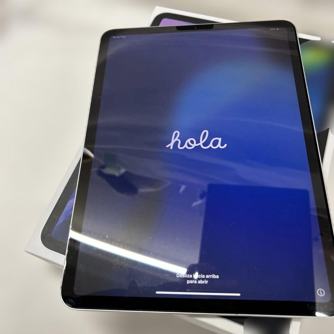 11インチ iPad Pro 第2世代 256GB SIMロック解除不明 iPad 【SIMロック解除済】Apple Pro2 第2世代 MY2W2J/A Dodomo Wi-Fi+