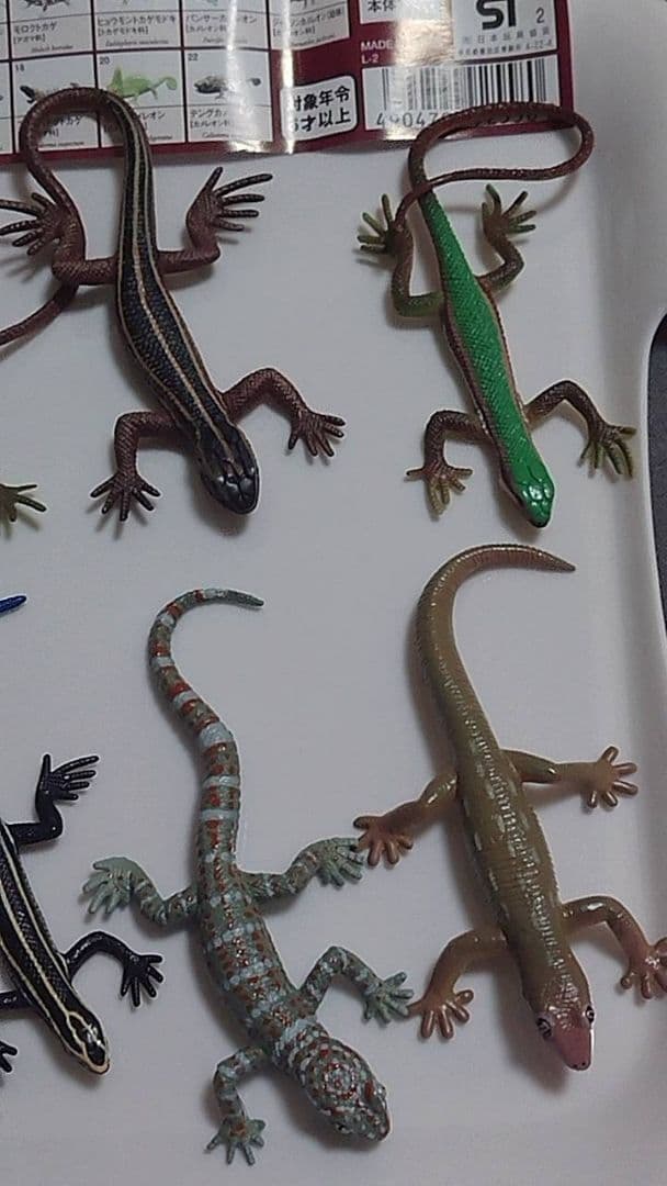 原色爬虫類トカゲ 図鑑 24体セット