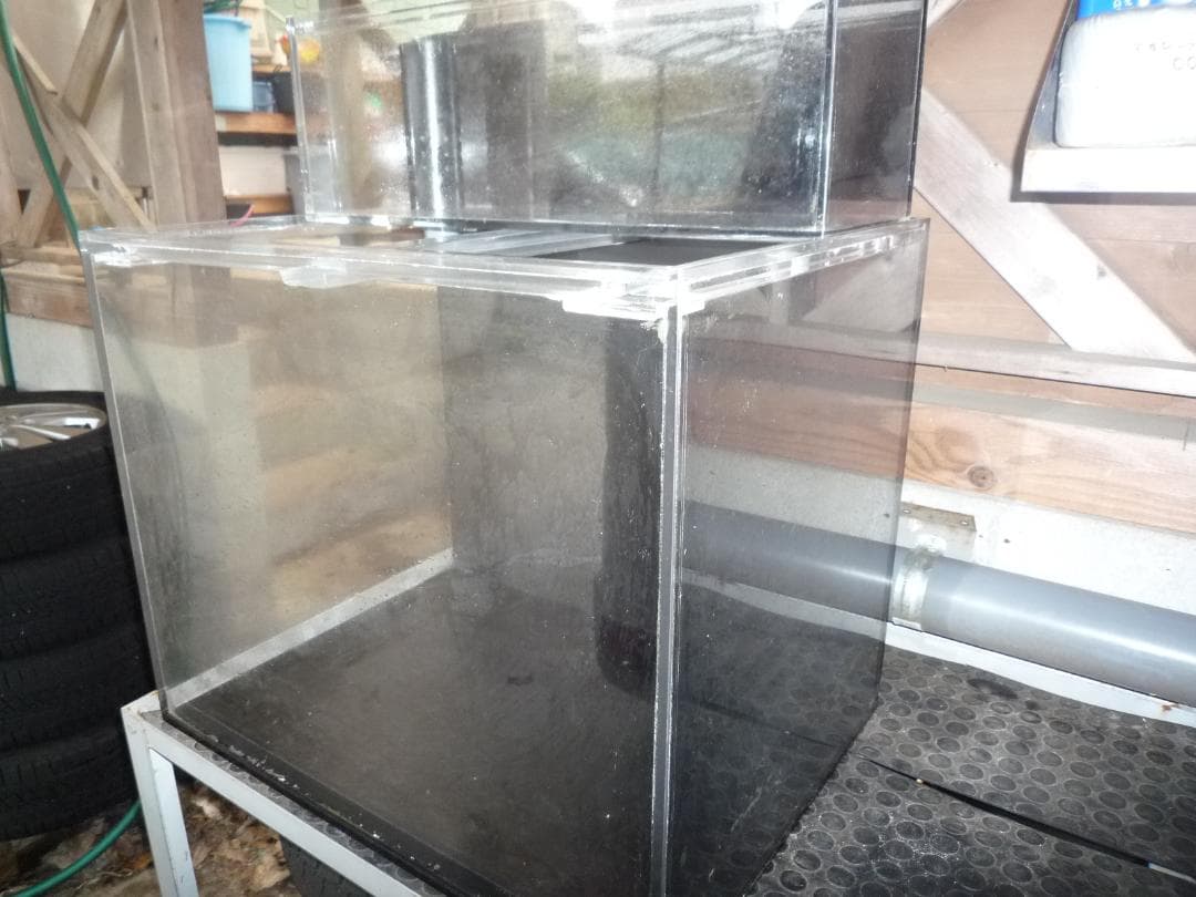 特注 60×45×H50cm オール10mm アクリル水槽 使用期間18ヶ月