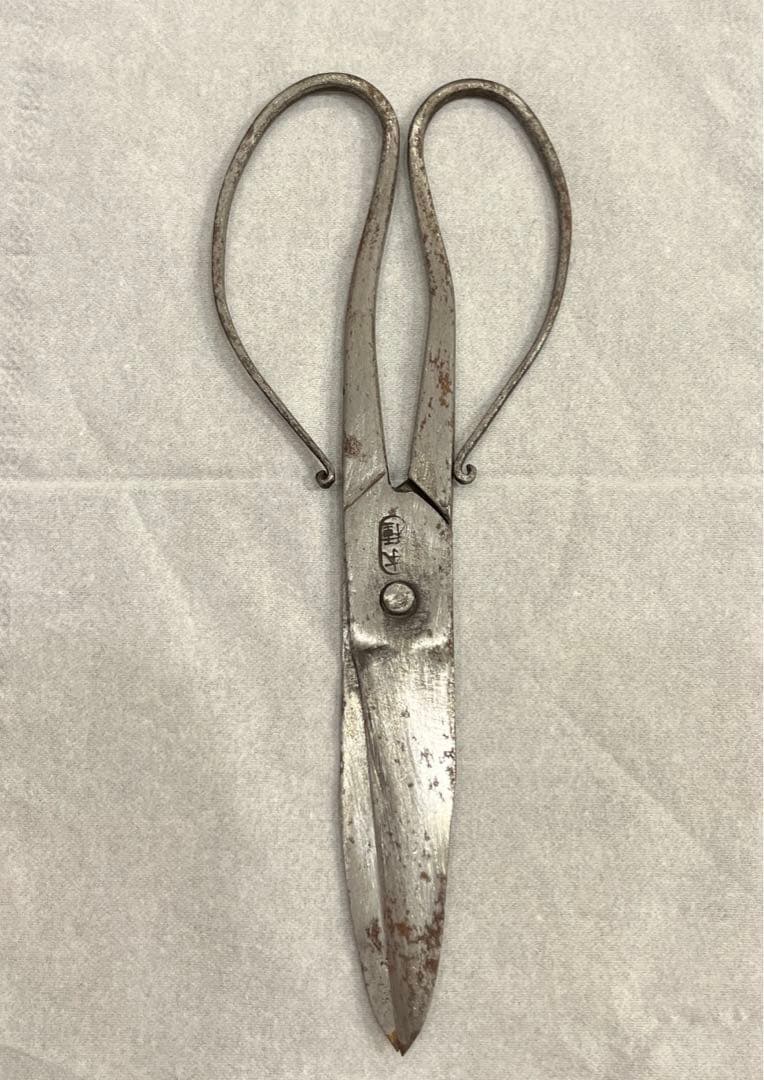 種子鋏　本種子鋏　骨董　ヴィンテージ　アンティーク　ハサミ　はさみ　レトロ 本種子鋏 7.5寸（池浪刃物製作所） | 髙木屋金物店オンラインショップ