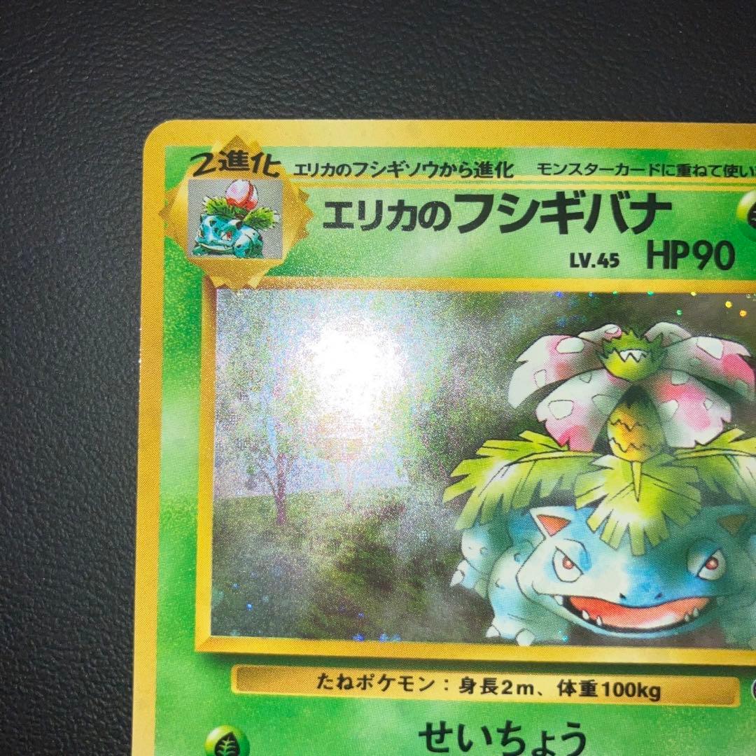 美品　旧裏　エリカのフシギバナ　キラ　ホロ