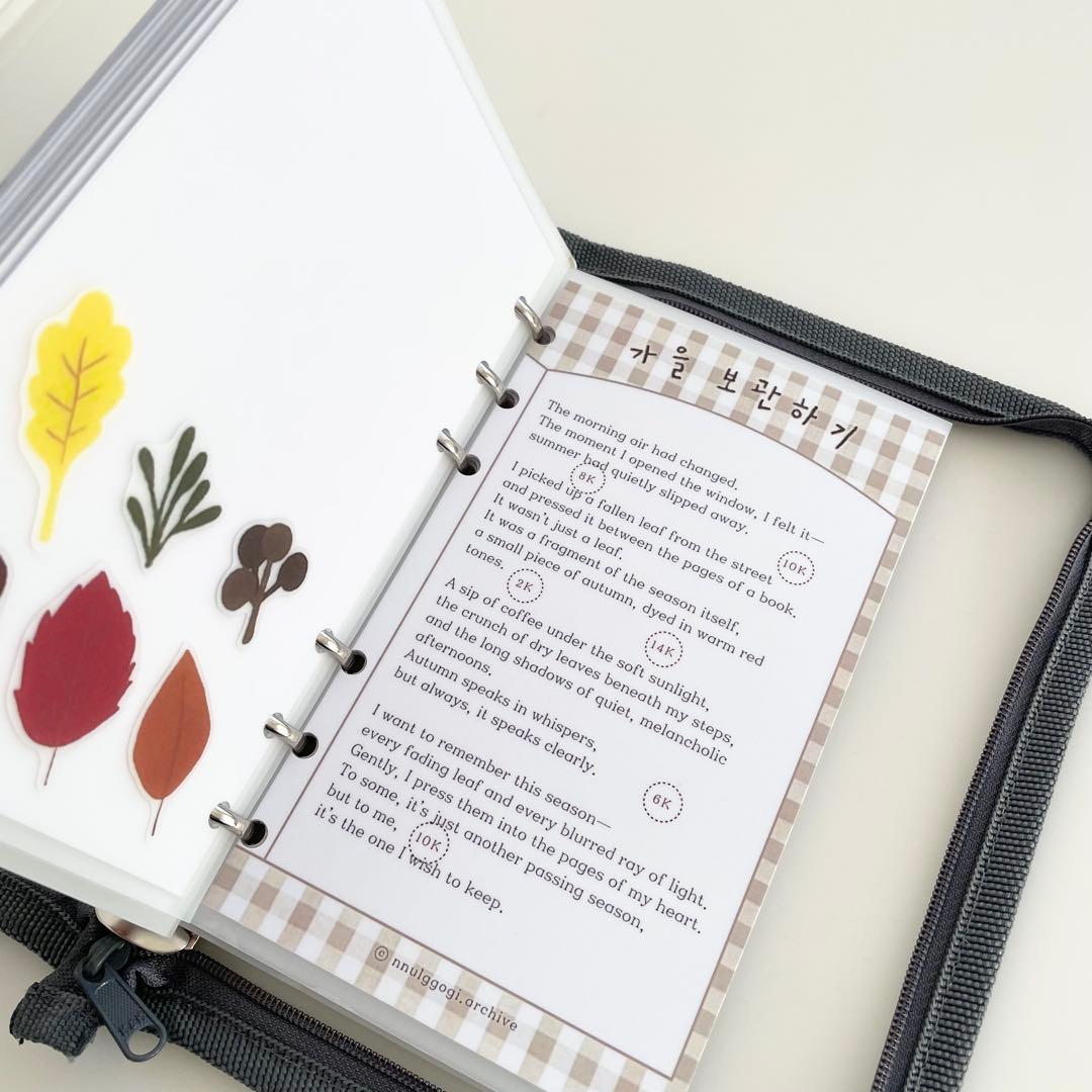 1セット限定 韓国 貯金 アクリルバインダー カバー リフィル 1年分 ジップ