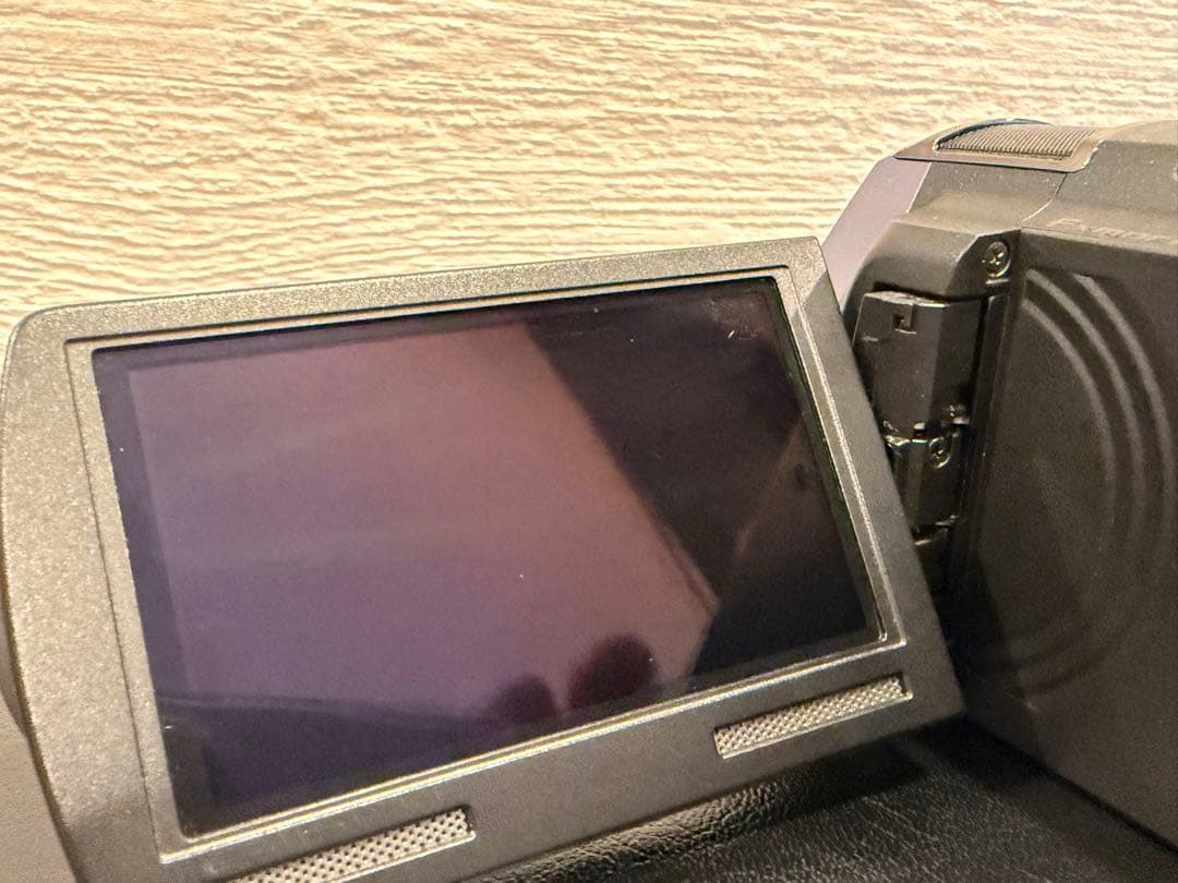 SONY ハンディカム　HDR-CX630V 純正ケース予備バッテリー付