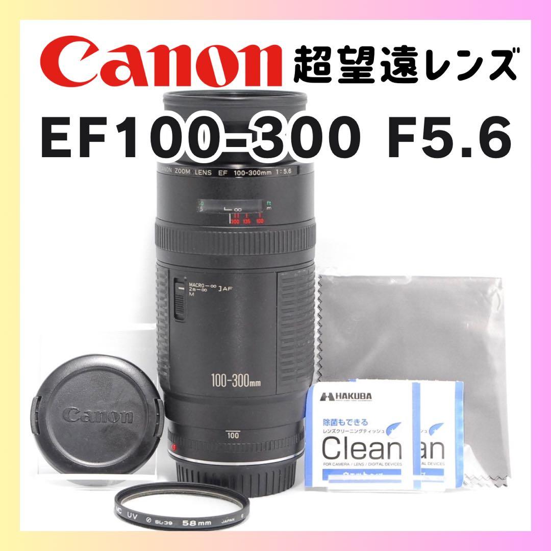遠くの風景も人物もOK✨Canon EF 100-300 超望遠レンズ キヤノン
