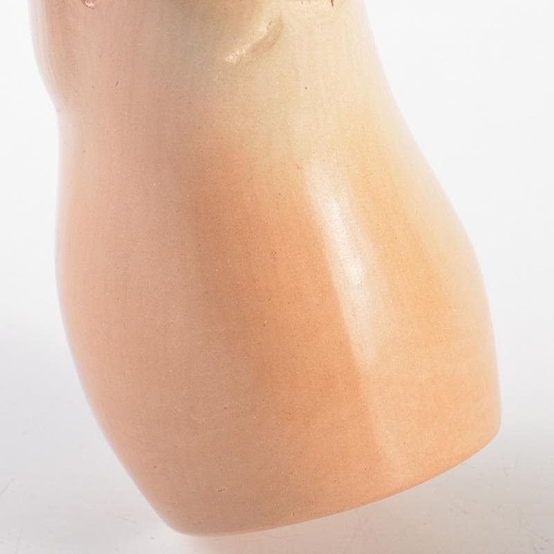 茶道具 雲華焼 山崎宗元作 狗 のし押え 熨斗押 共布共箱 V R6888