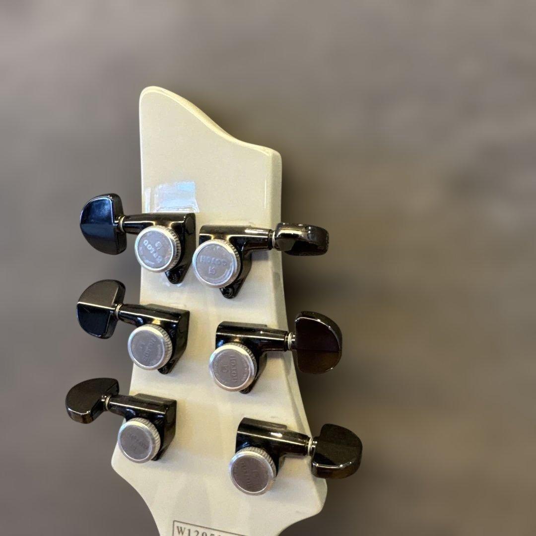 最終値引 シェクター DIAMOND シリーズセットネックEMG フロイドローズ